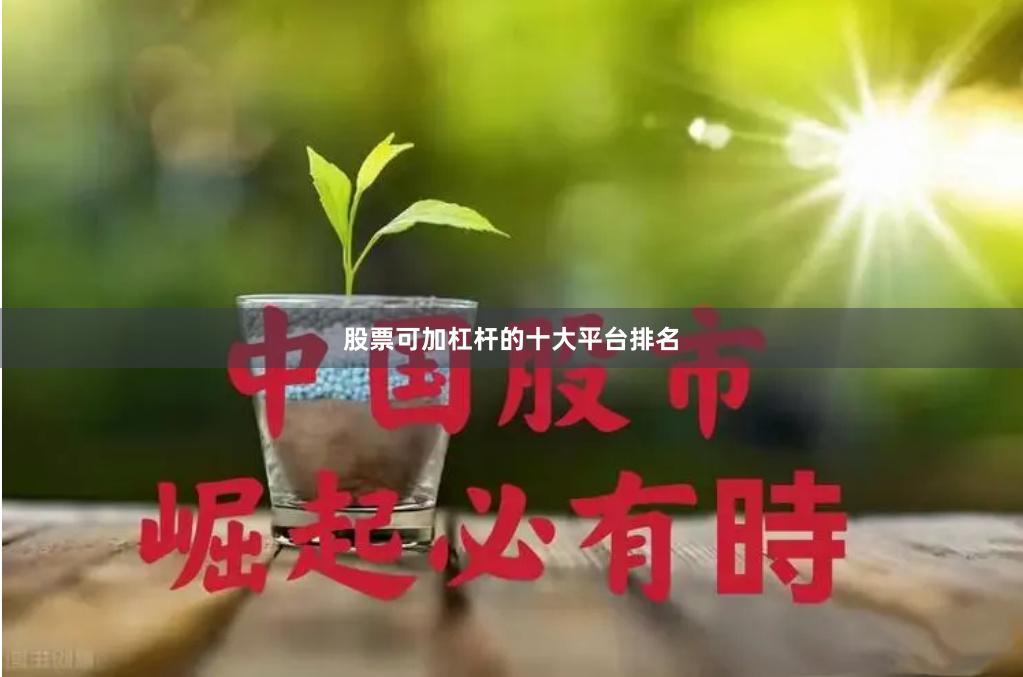 股票可加杠杆的十大平台排名