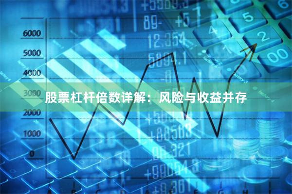 股票杠杆倍数详解：风险与收益并存